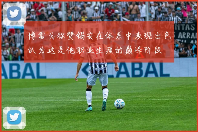 博雷戈称赞锡安在体系中表现出色认为这是他职业生涯的巅峰阶段