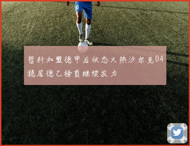 哲科加盟德甲后状态火热沙尔克04稳居德乙榜首继续发力