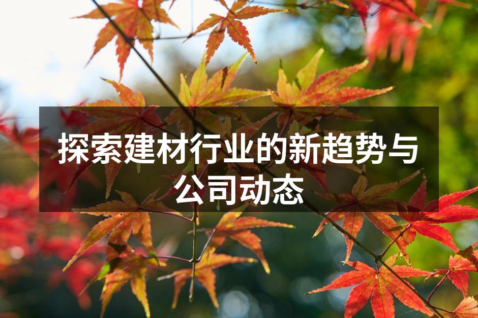 建材行业的现代化生产线